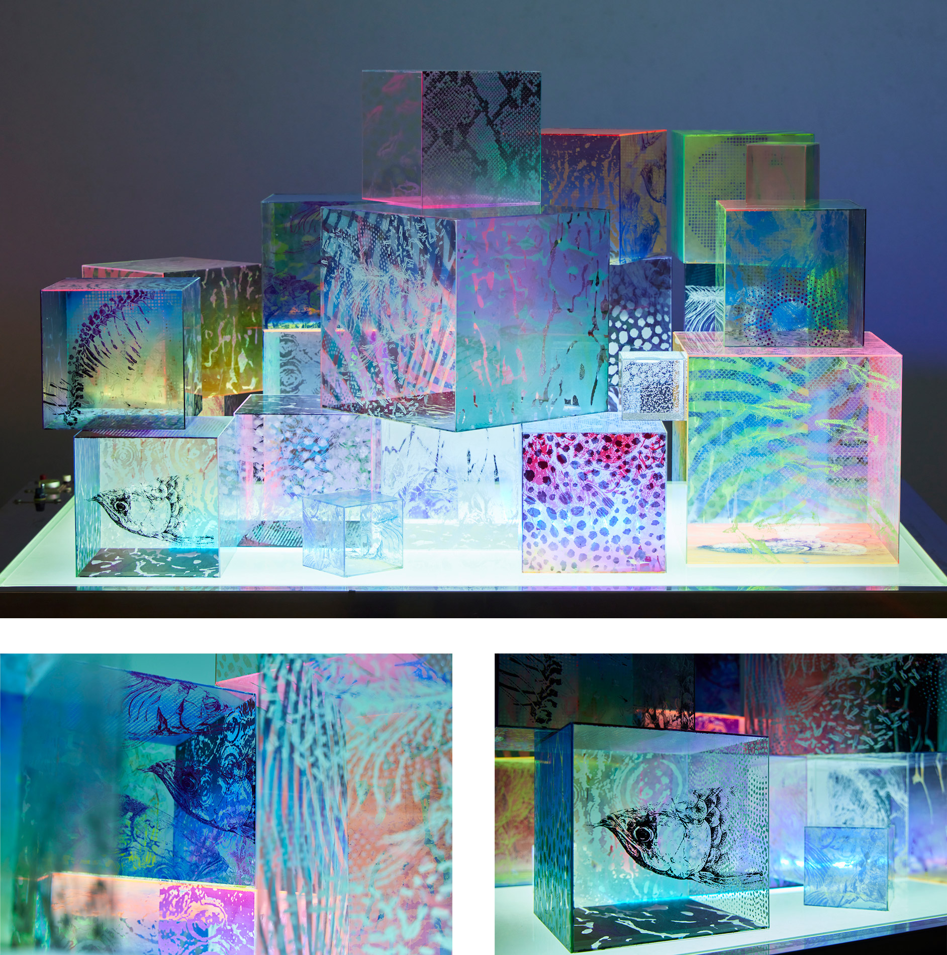 2021年度 ― 第54回卒業制作展 作品集 - 東北生活文化大学・短期